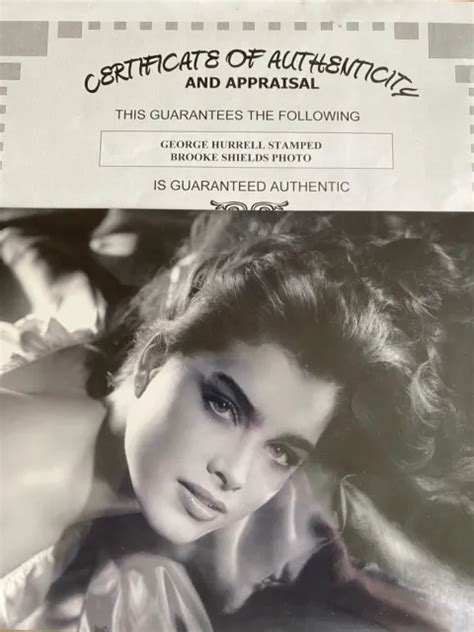 Brooke Shields Foto Photo 25x20cm George Hurrell Stamped Perfect Certificato Coa Eur 9900