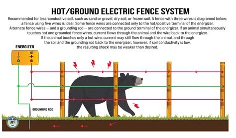 Electric Fences As Bear Deterrents Alaska Department Of Fish And Game