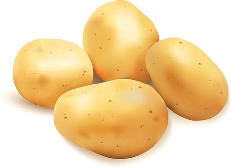 Royalty Free Raw Potato Clip Art Vector Images And Illustrations Istock