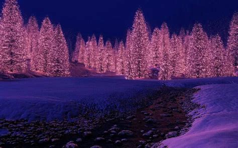 Lighted Trees Winter Pictures Landscape Winter Scenes