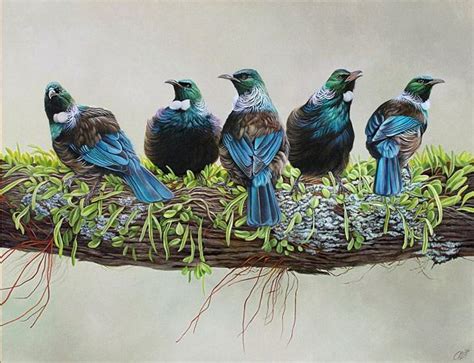 Craig Platt Nz Bird Artist Oil Painting Tui Bird Art Nz Art Bird