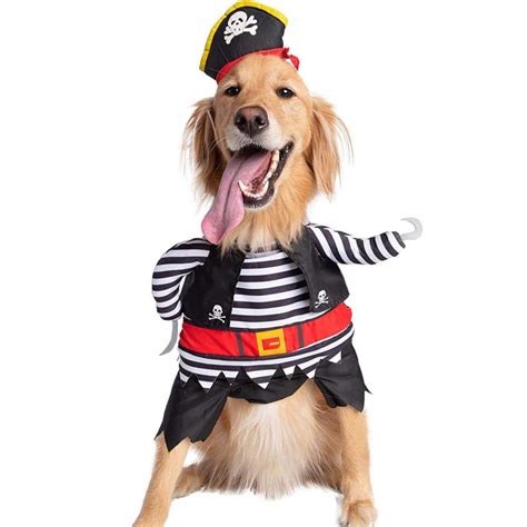 25 Halloween Costumes For Golden Retrievers And Labs Too Hey