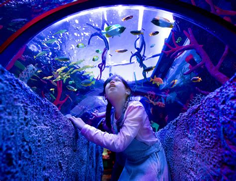Sea Life Aquarium Legoland® Malaysia Resort