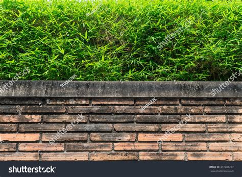 Tree Brick Wall Background Stock Photo 412281277 Shutterstock