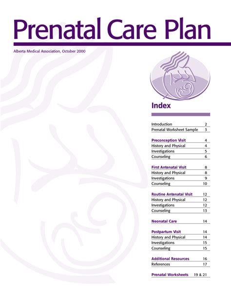 Download 29 Antenatal Care Plan