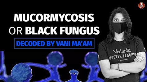Mucormycosis Or Black Fungus Decoded By Vani Mam Black Fungus In