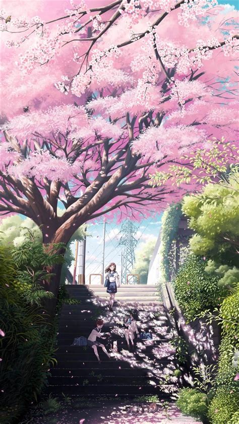 Cherry Blossom Background Anime Posted By Michelle Mercado