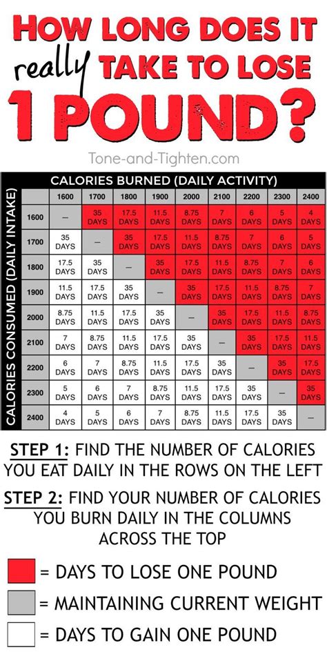 How Much Calories Should I Eat A Day To Burn Fat Muchw