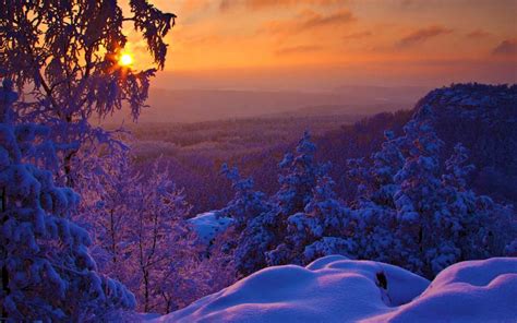 Winter Morning Sun Rise Wallpaper Nature And Landscape Wallpaper Better