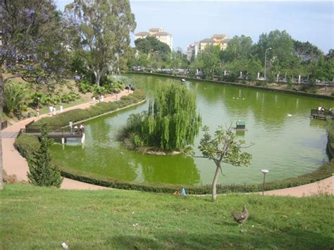 Venta de miel pura, envío a domicilio a toda españa. Parque de la Paloma - Arroyo de la Miel