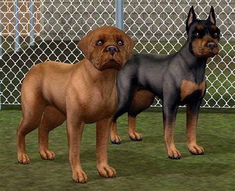 Sims 2 Custom Pet Breeds Corpsxsonar