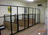 Dog Kennels For Boarding Facilities Pictures