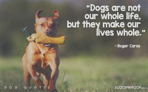 25 Beautiful Quotes That Explain Exactly Why Dogs Are Mans Best Friends