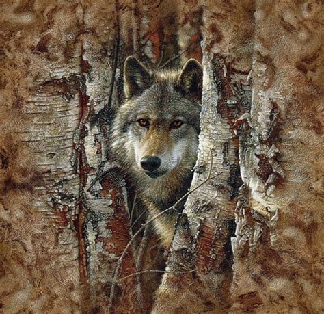 Pin By Tracey Kuyers On Paintings Wolf Photos Wolf Pictures Wolf