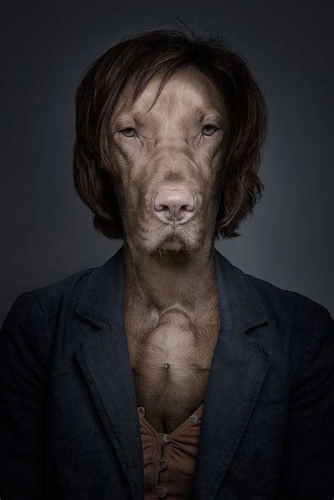 Dogs Dressed As Humans 7 Photos Funcage