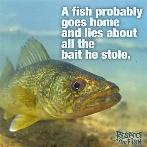 Best Funny Fishing Memes Turnerstackle