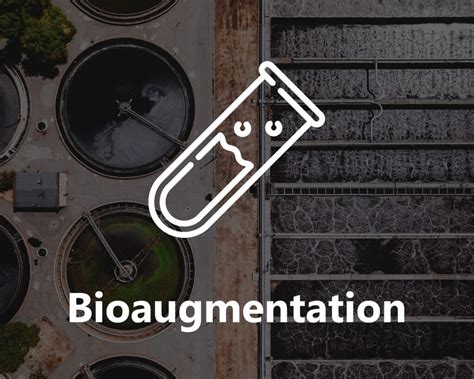 Wastewater Treatment Bioaugmentation Advanced Biotech