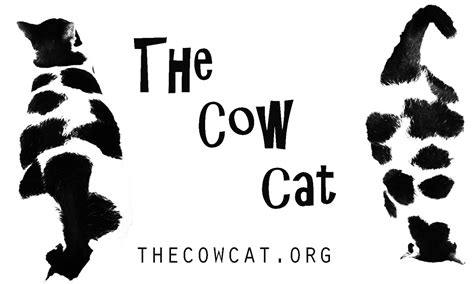 About The Cow Cat Cuteness For Kindness