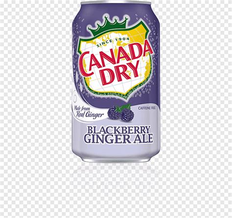 Ginger ale Fizzy Drinks Lemonade Eau gazeuse Bière au gingembre