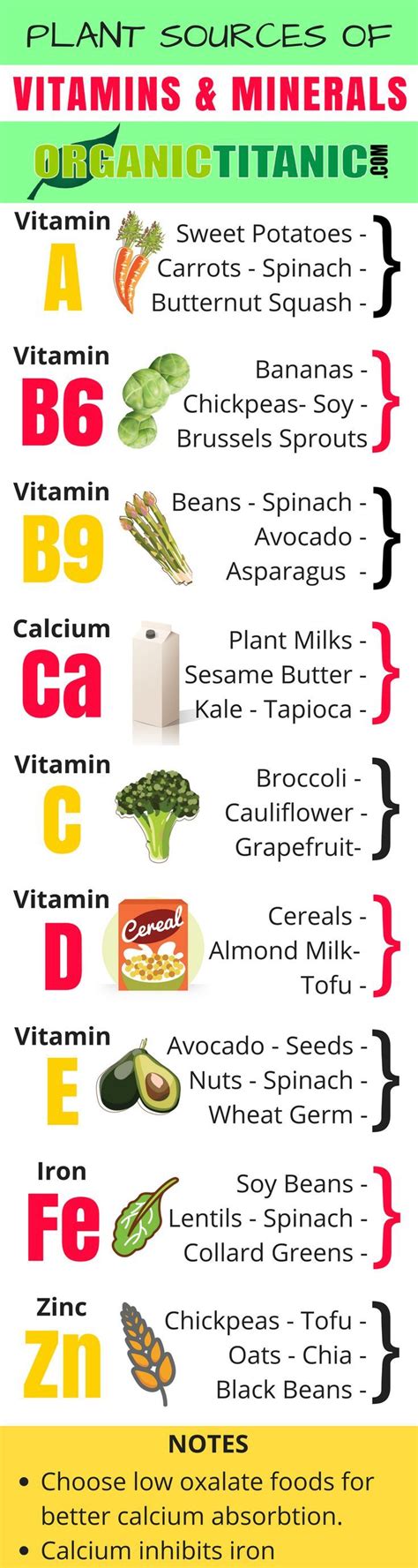Vegan & vegetarian sources of vitamin b12. Vitamins Vegans Need and How to Get Them - | Vegan ...