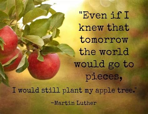 Pin By Christina Luna On Inspirational To Me Apple Apple Tree