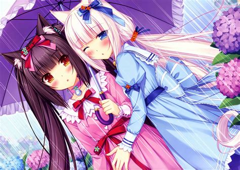 Two Girlfriends Under Umbrella Anime Neko Para Wallpapers And Images Wallpapers Pictures Photos