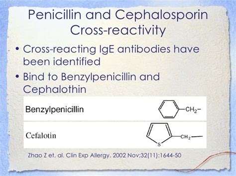 β Lactam Antibiotic Hypersensitivity Cross Reactivity