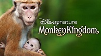 Watch Disneynature Monkey Kingdom | Full Movie | Disney+