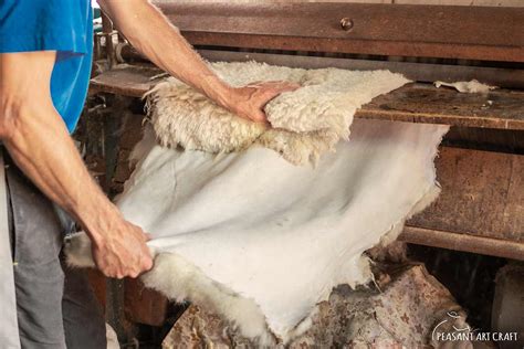 Leather Tanning Process From Sheepskin To Tanned Pelts And Hides