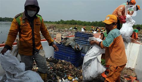 Bersih Bersih Sampah Di Hutan Mangrove Muara Angke Foto