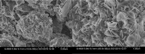 Sem Picture Of Spent Cathode Carbon Download Scientific Diagram