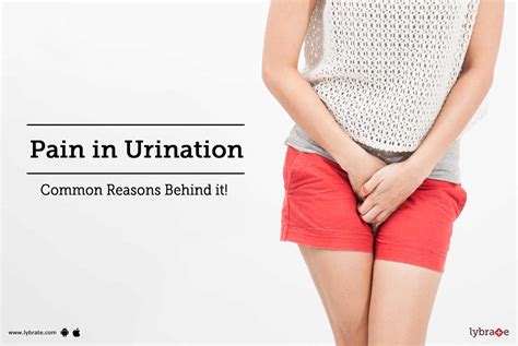 Pain In Urination Common Reasons Behind It By Dr K S Shiva Kumar Lybrate