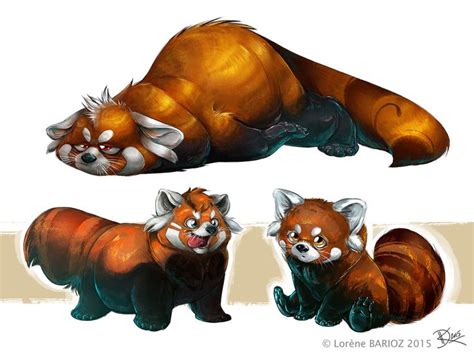 Lets Continue With Some Red Pandas Im Trying Some Character Designs