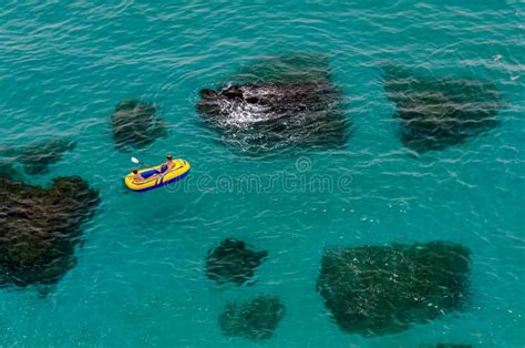 Yellow Dinghy Stock Image Image Of Tide Dinghy Serene 1672071