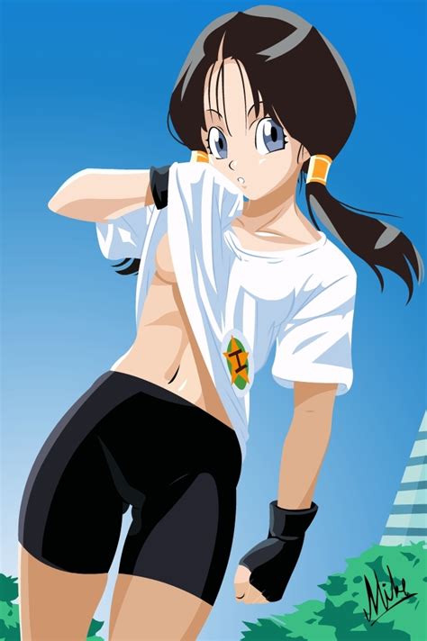 Videl Dargon Ball Z Photo 13728741 Fanpop