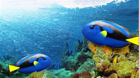 2017 Incredible Creatures Sea Life From Safari Ltd