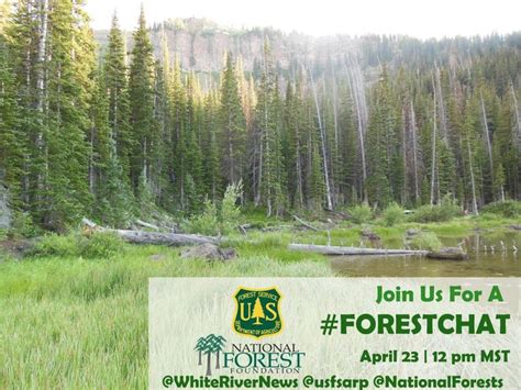 Photos And Videos By Usda Forest Service Forestservice Forest