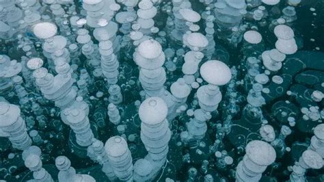 Rare Phenomenon Frozen Bubbles In Canadian Lake Weather News