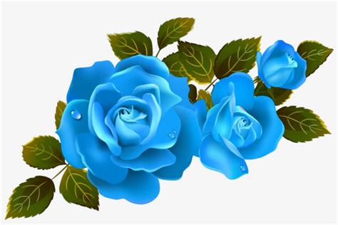 Mq Blue Roses Rose Flower Flowers Clip Art Rose Flowers Transparent