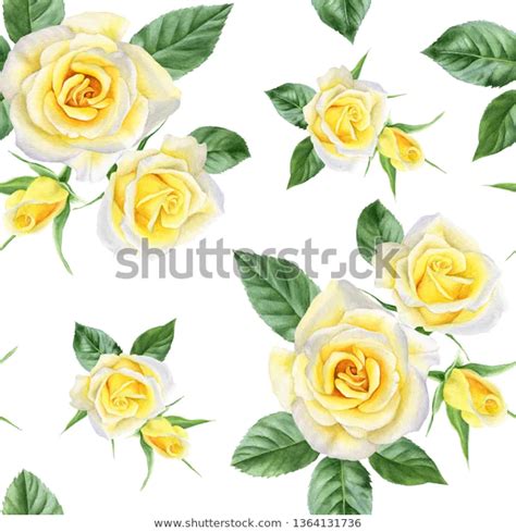 Ilustrações Stock Imagens E Vetores De Seamless Pattern Yellow Roses