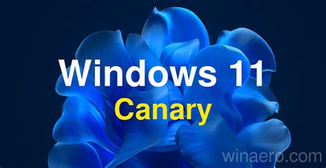 Windows 11 Build 25931 Canary Is Rolling Out To Insiders With Iso Images