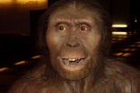 Lucy la Australopithecus: ¿quién era y cómo fue su vida?