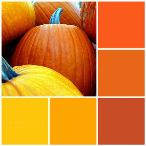 12 Fall Color Palettes For Your Kitchen Sheknows
