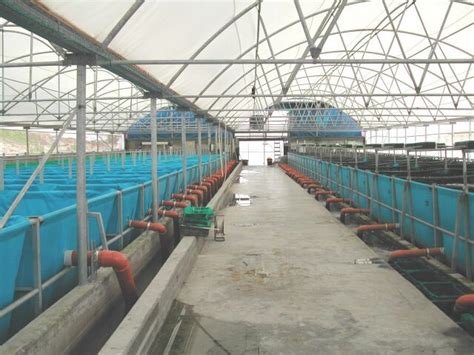 The Inside Of A Large Greenhouse With Blue Tanks