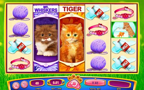 Omg Kittens Slot Free Play And Review ️ January 2024