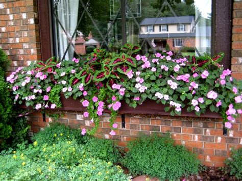 It's awesome because it has a hidden reservoir in the bottom so i won't have to water the. 19 Irresistible Flower Box Ideas For Your Windows