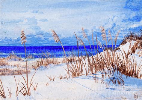 Sea Oats On The Beach Painting By Matt Starr Fine Art America