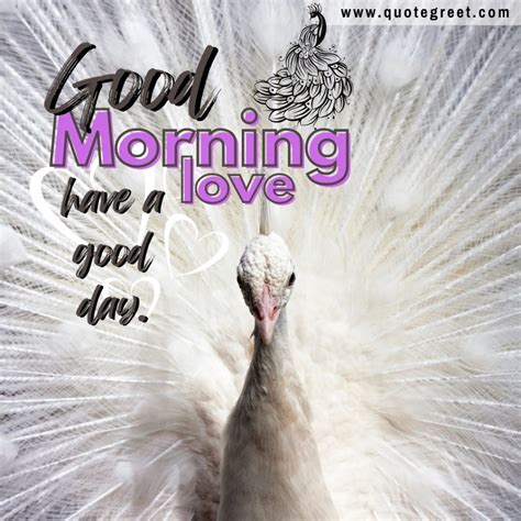 33 New Beautiful Good Morning Peacock Images Quotes Greetings Quotegreet