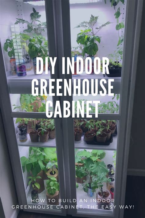 This diy mini box greenhouse is made from old storm windows. DIY Indoor Greenhouse Cabinet | Indoor greenhouse, Diy ...