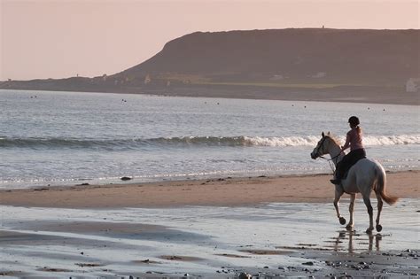 Horseback Riding Tours On The Welsh Coast